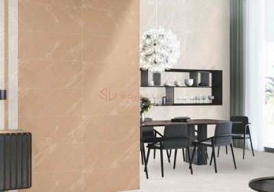 Gạch Ốp Lát APODIO  48302 - 48402